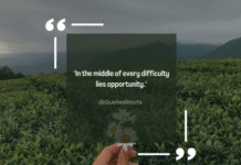 Inspirational Quotes