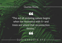 🌳 30 Best Tree Quotes to Feel Grounded & Grow Strong in Life